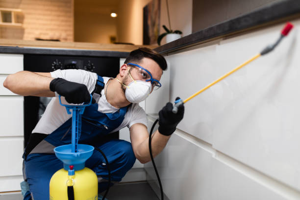 Best Local Pest Control Services  in University Of Pittsburgh Johnstown, PA