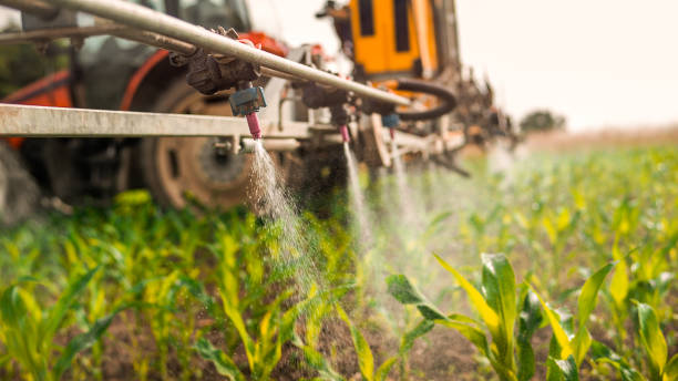 Best Commercial Pest Control Services  in University Of Pittsburgh Johnstown, PA